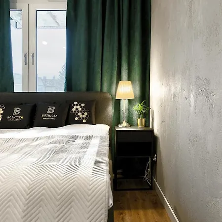 Bóżnicza Apartamento Poznań