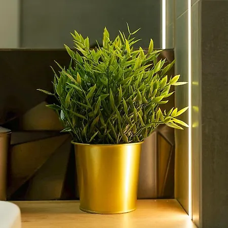 Apartamento Bóżnicza