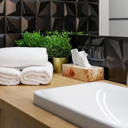 아파트 Boznicza 포즈난